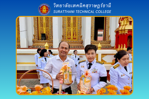 291.1