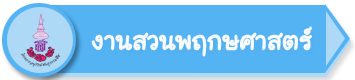 แบบปุ่ม2